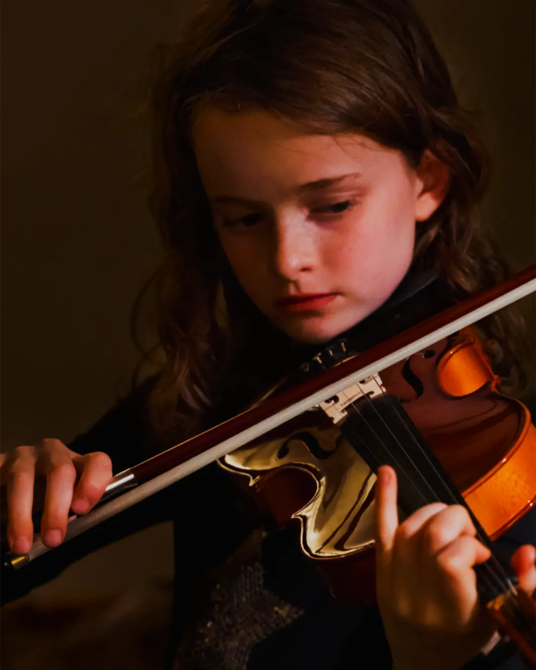 Violino